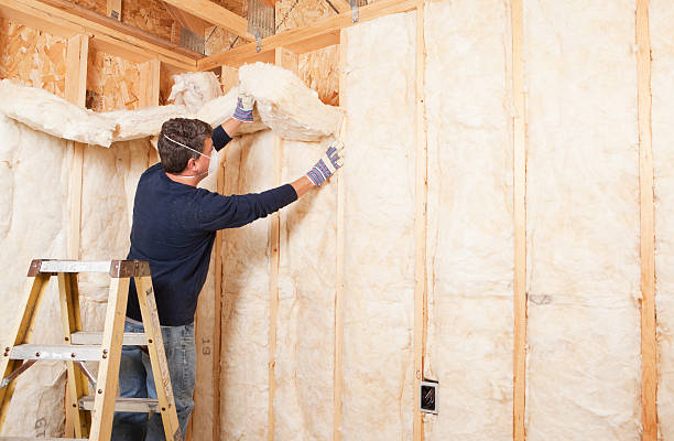 Best Eco-Friendly Insulation Solutions  in West Orange, TX